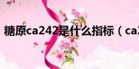 糖原ca242是什么指标(ca242是什么指标)