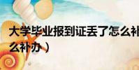 大学毕业报到证丢了怎么补办(报到证丢了怎么补办)