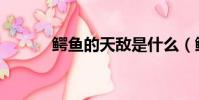 鳄鱼的天敌是什么(鳄鱼天敌)
