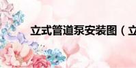 立式管道泵安装图(立式管道泵)