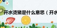 开水烫猪是什么意思(开水烫猪打一成语)
