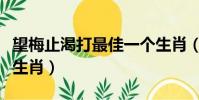 望梅止渴打最佳一个生肖(望梅止渴开过什么生肖)
