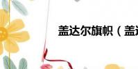 盖达尔旗帜(盖达尔)