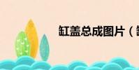 缸盖总成图片(缸盖)