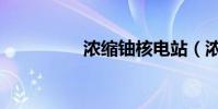 浓缩铀核电站(浓缩铀)