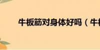 牛板筋对身体好吗(牛板筋的危害)
