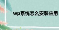 wp系统怎么安装应用(wp系统)
