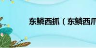 东鳞西抓(东鳞西爪的意思)