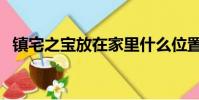 镇宅之宝放在家里什么位置好(镇宅之宝)