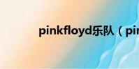 pinkfloyd乐队(pinkfloyd)