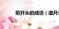 照开头的成语(道开头的成语)