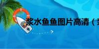 浆水鱼鱼图片高清(浆水鱼鱼)