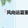 风向远夏里txt全集下载（风向远夏里）