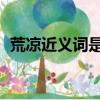 荒凉近义词是什么 标准答案（荒凉近义词）