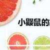 小鼹鼠的故事图片（小鼹鼠的故事）