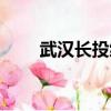 武汉长投绿城兰园（长投绿城兰园）
