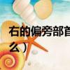 右的偏旁部首是什么结构（右的偏旁部首是什么）