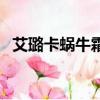 艾璐卡蜗牛霜的功效用法（艾璐卡蜗牛霜）