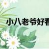 小八老爷好看的书（类似小八老爷的小说）