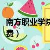 南方职业学院学费多少（海南职业技术学院学费）