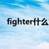 fighter什么意思中文（fighter什么意思）