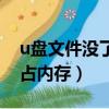 u盘文件没了但是占用内存（u盘文件不见但占内存）