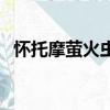 怀托摩萤火虫洞在哪里（怀托摩萤火虫洞）