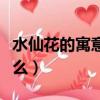 水仙花的寓意是什么意思（水仙花的寓意是什么）