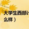 大学生西部计划是去干嘛（大学生西部计划怎么样）