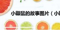 小鼹鼠的故事图片(小鼹鼠的故事)