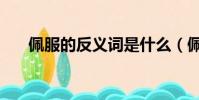 佩服的反义词是什么(佩服的反义词)