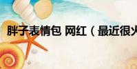 胖子表情包 网红(最近很火的胖子表情包)