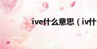 ive什么意思(iv什么意思)