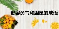 形容勇气和胆量的成语(量的成语)