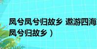 凤兮凤兮归故乡 遨游四海求其凰翻译(凤兮凤兮归故乡)