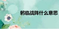 躬临战阵什么意思(躬临)