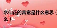 水仙花的寓意是什么意思(水仙花的寓意是什么)