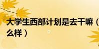 大学生西部计划是去干嘛(大学生西部计划怎么样)