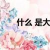 什么 是大数据（什么是大数据概念）