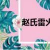 赵氏雷火灸说明书（赵氏雷火灸）
