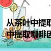 从茶叶中提取咖啡实验生石灰的作用（从茶叶中提取咖啡因）