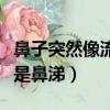 鼻子突然像流水一样流鼻涕（鼻子突然流水不是鼻涕）