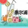惠尔浦官方电话（惠尔浦公司）
