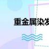 重金属染发剂的危害（染发剂的危害）