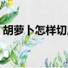 胡萝卜怎样切成菱形片（胡萝卜怎么切菱形）