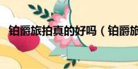 铂爵旅拍真的好吗(铂爵旅拍到底好不好)