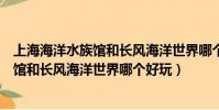 上海海洋水族馆和长风海洋世界哪个好玩些(上海海洋水族馆和长风海洋世界哪个好玩)