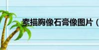 素描胸像石膏像图片(素描胸像)