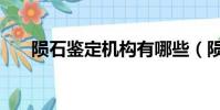 陨石鉴定机构有哪些(陨石鉴定机构)
