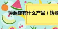 铸源都有什么产品(铸源产品怎么样)